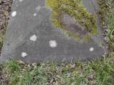 image of grave number 569949